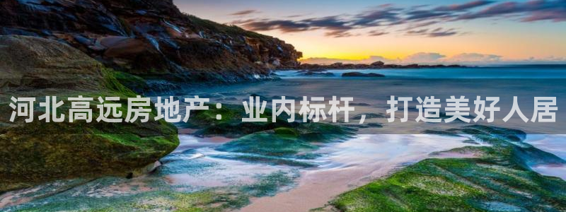 永利资管不给提款怎么解决