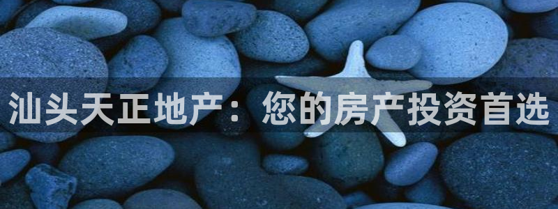 304.cam永利集团