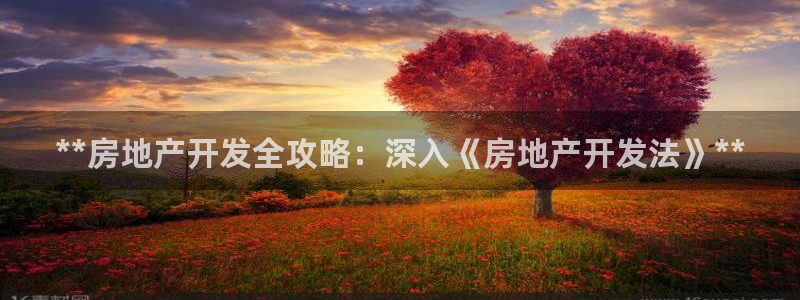 永利公司是做什么的