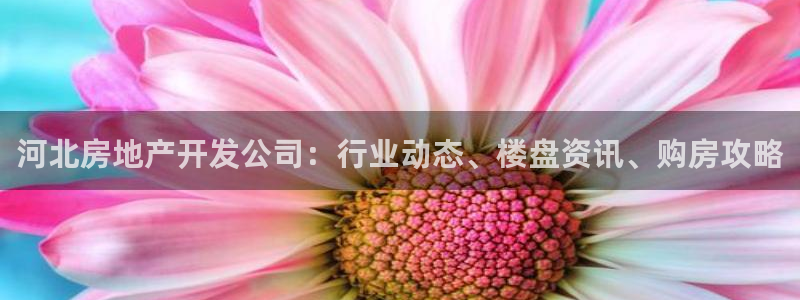 永利中国总裁