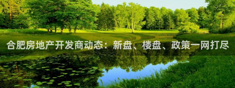 永利网是受国家法律保护吗