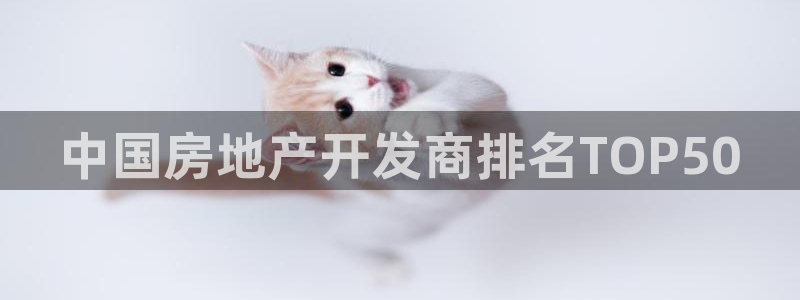 忘了永利集团的网址了