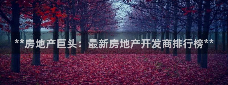 永利带业集团2020年的业绩状况
