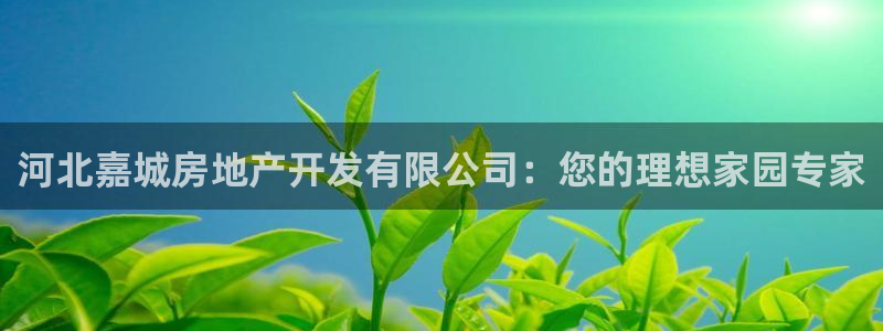 3044am永利集团公司背景