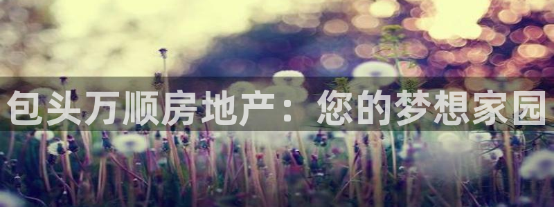 为什么永利网址打不开