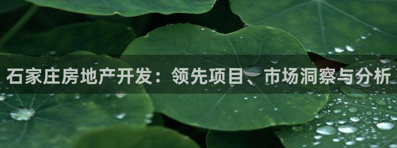永利金控