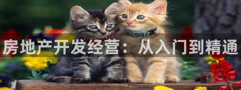 永利皮带型号说明图解