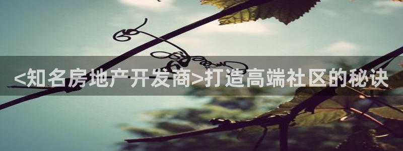 永利贴吧