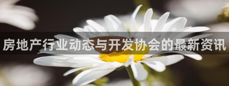 永利游乐城网址查询