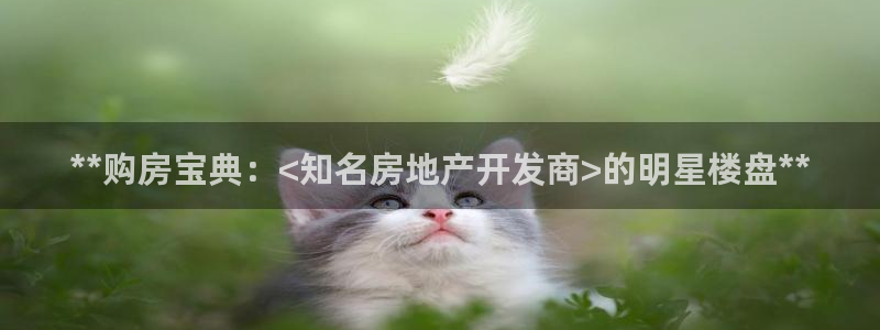 永利皮带报价查询