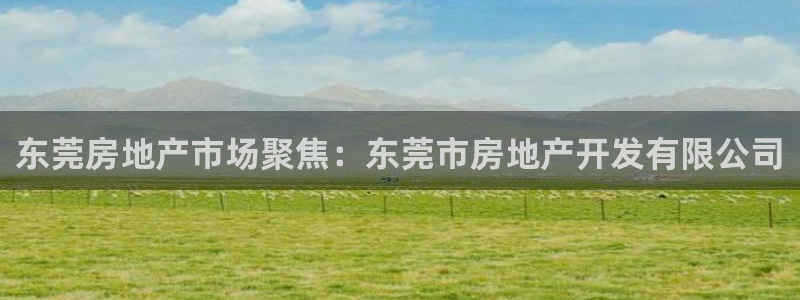 永利带业怎么样
