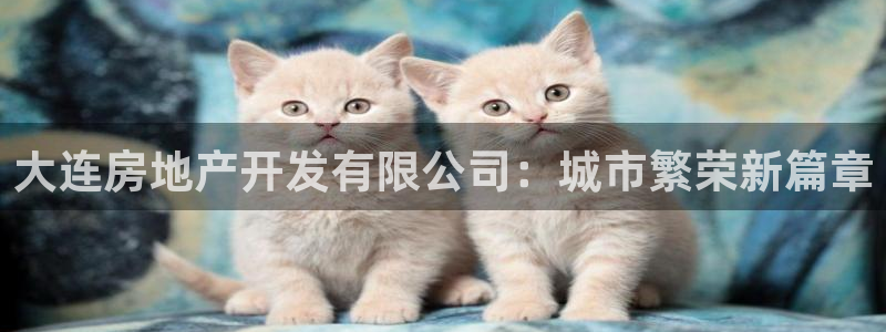 永利集团董事长