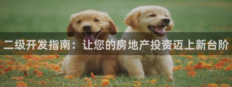 永利官网y