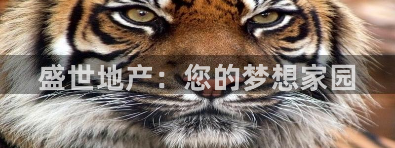 永利官网可信吗