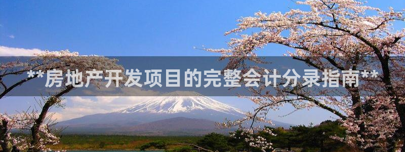 永利酒店老板