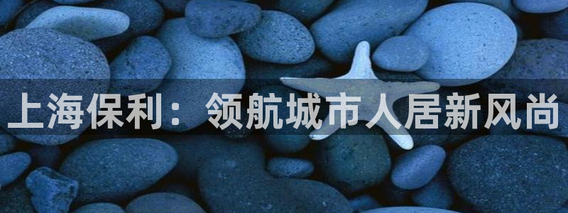 永利房地产有限公司董事长是谁