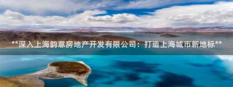 永利皮革