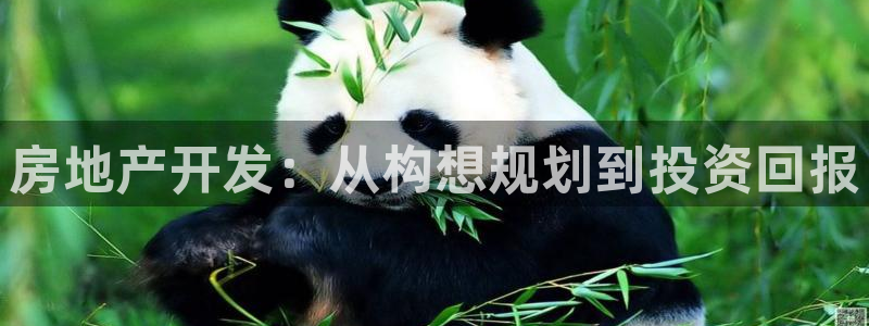 永利的老板是谁