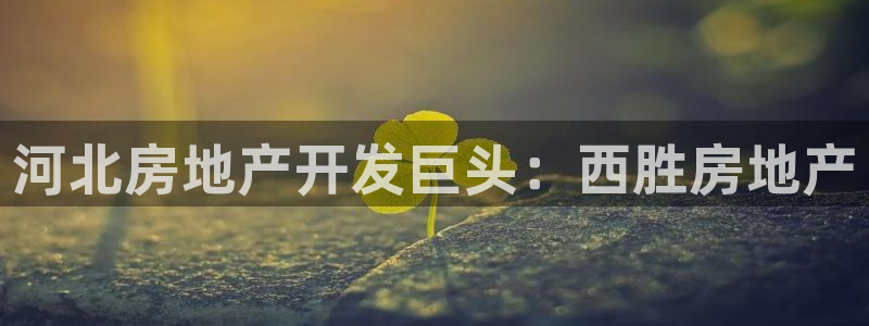 永利水泥制品厂