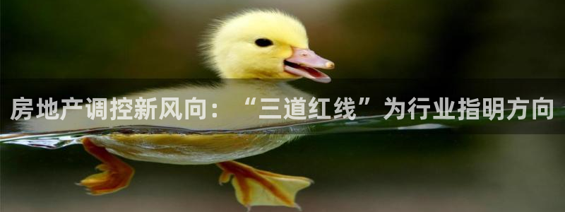 永利积分卡怎么算的