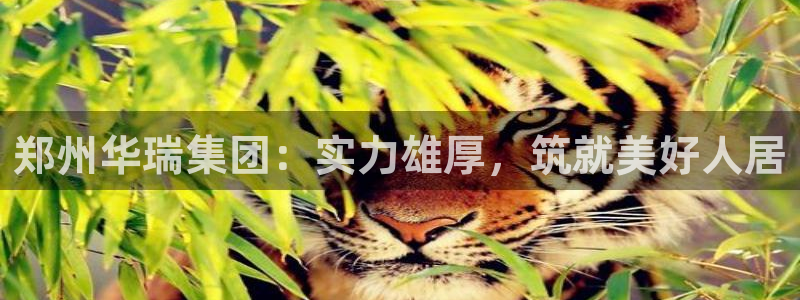 永利正版