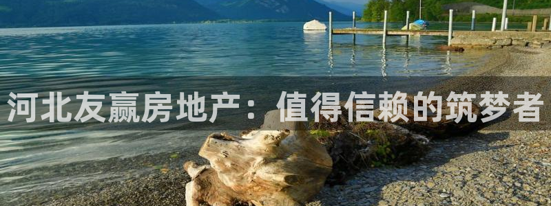 永利房地产有限公司怎么样