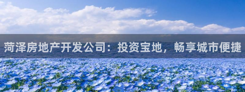 永利汇茶具有限公司
