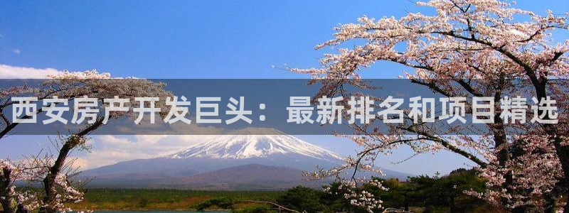 永利官网总站入口在哪