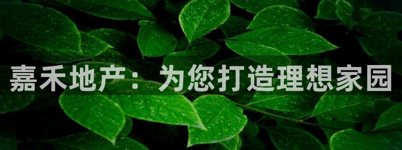 永利股份有限公司介绍
