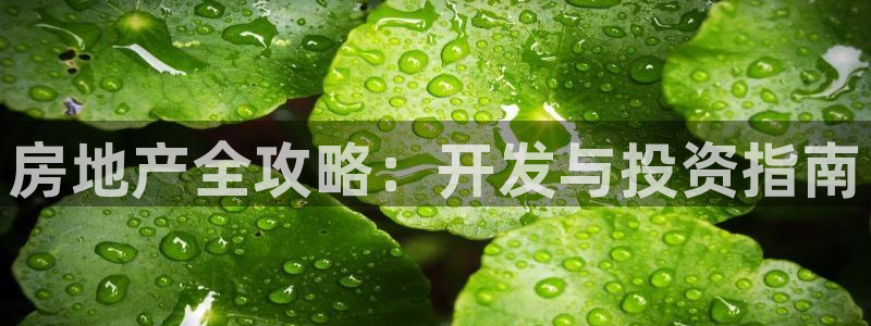 永利大酒店