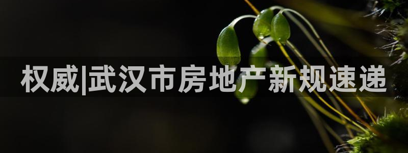永利中国集团