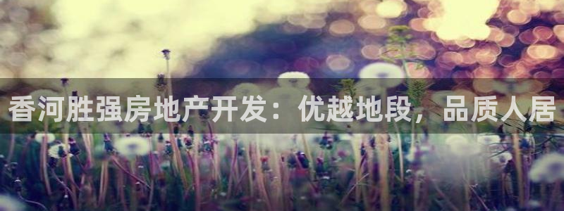永利皮带型号说明