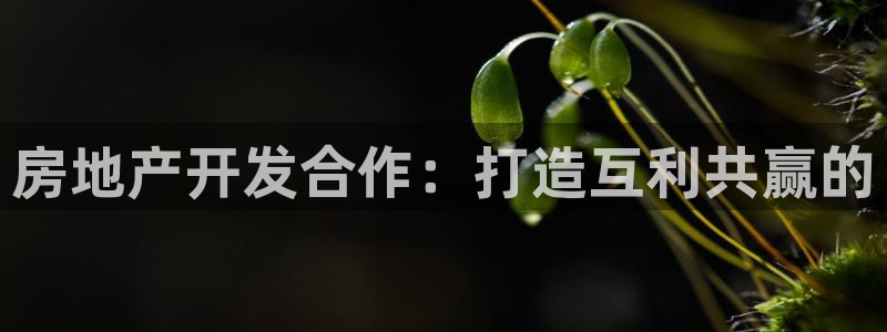 永利nev可靠吗