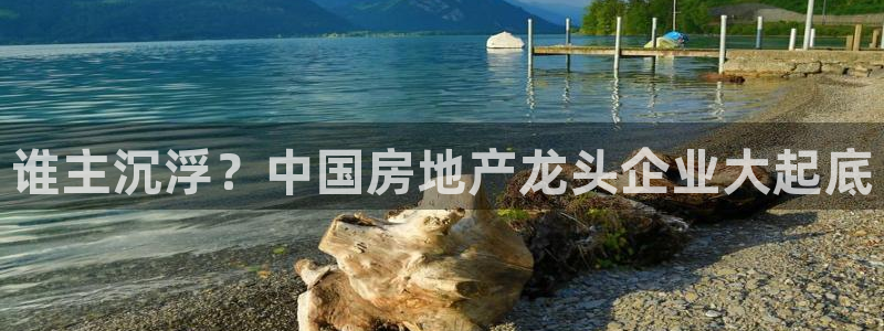 滨州永利篮球俱乐部老板