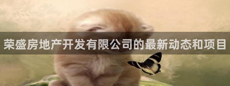 永利有限责任公司