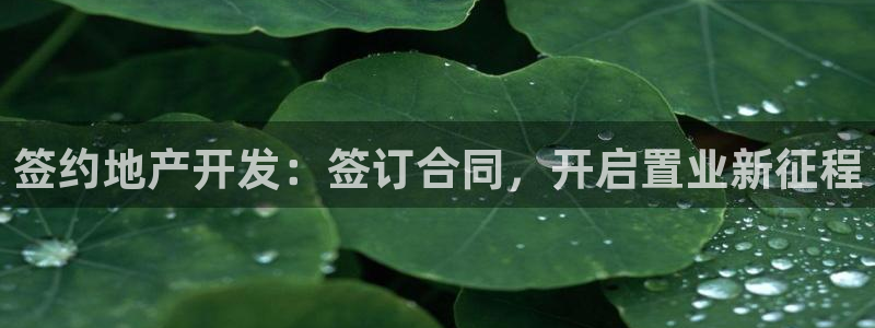 永利带业 皮带 输送带 价格