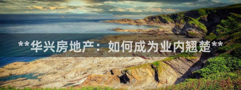永利批发市场在哪里