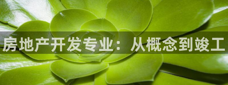 永利网是干什么的,能挣到钱吗安全吗