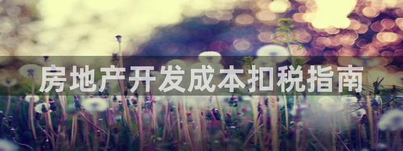 永利酒店有几家