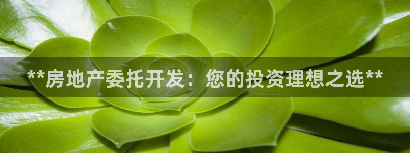 永利提款提不出来