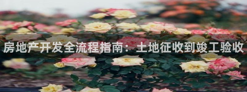 澳门永利游乐网址
