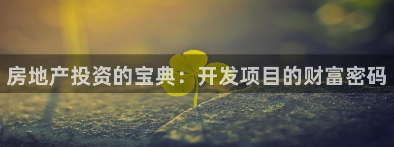 永利官网误乐域一个币多少钱