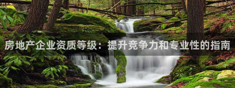 永利包装有限公司
