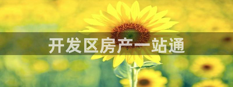 永利金控
