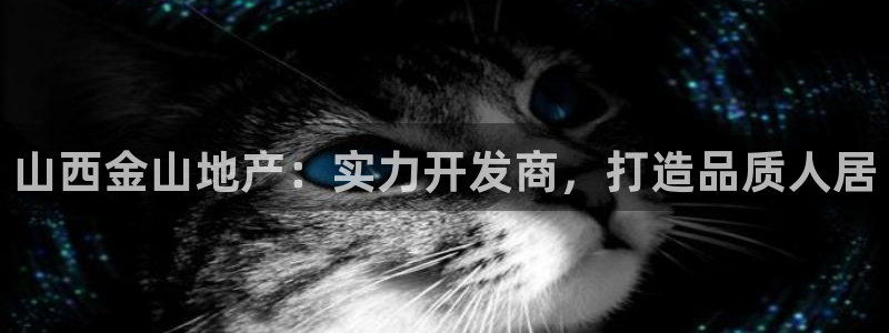 永利宝高管