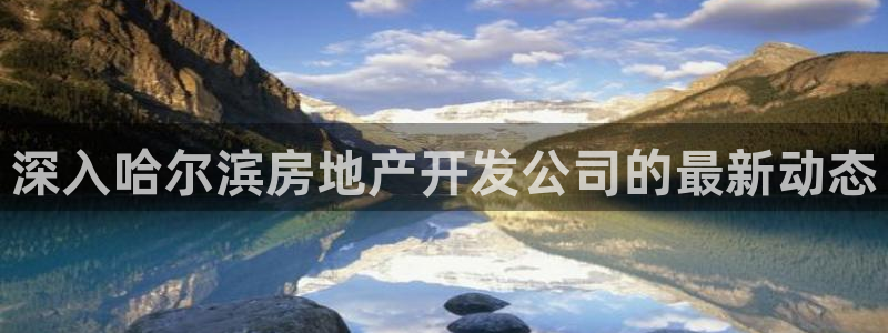 永利制带合作的公司
