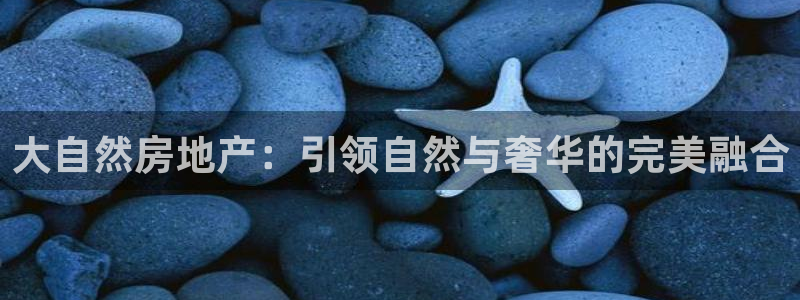 永利pc网址