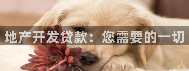 永利表行