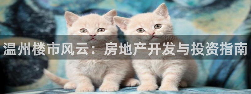 永利打不开
