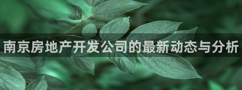 永利网是不是真的假的